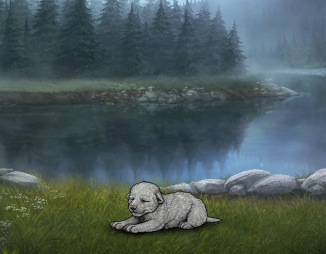 Random Wolf Image