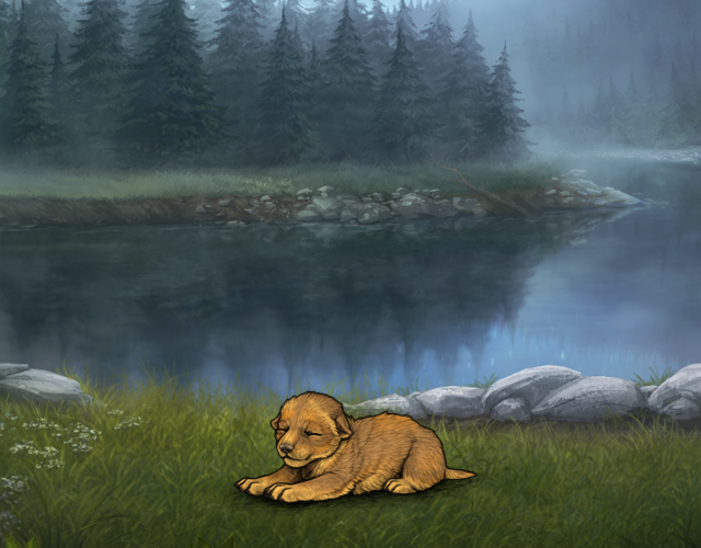 Random Wolf Image