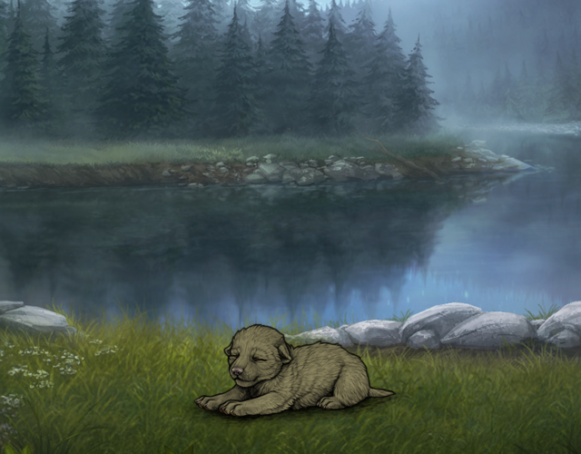 Random Wolf Image
