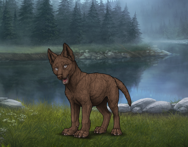 Random Wolf Image