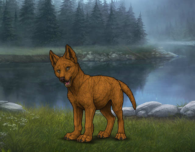 Random Wolf Image