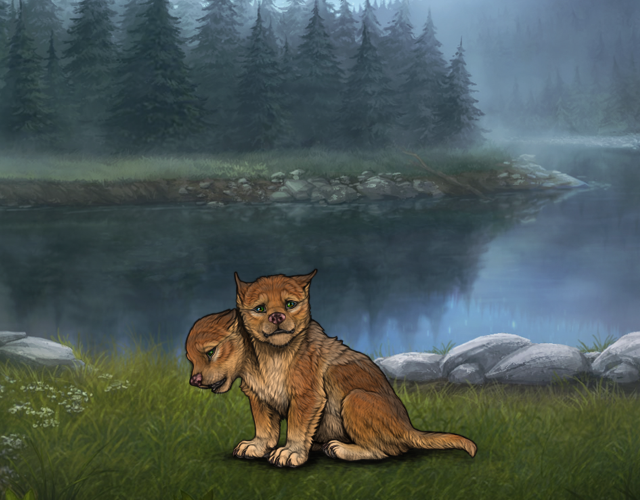 Random Wolf Image