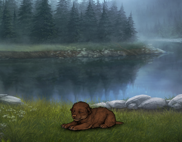 Random Wolf Image