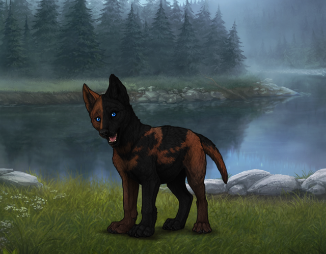 Random Wolf Image