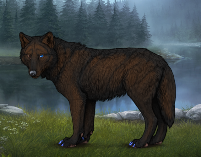 Random Wolf Image