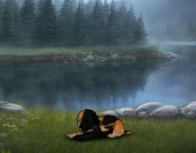 Random Wolf Image