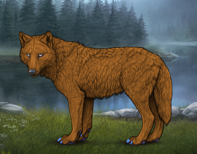 Random Wolf Image