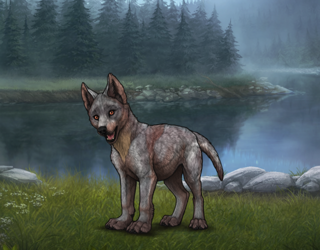 Random Wolf Image