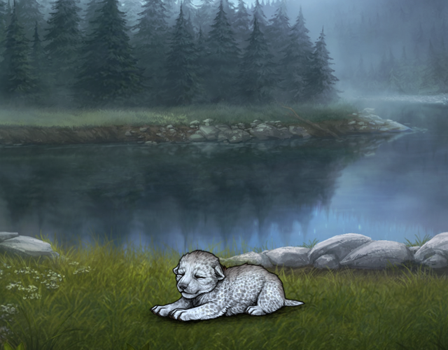 Random Wolf Image