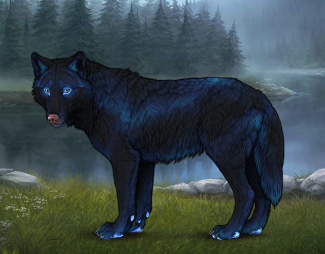 Random Wolf Image