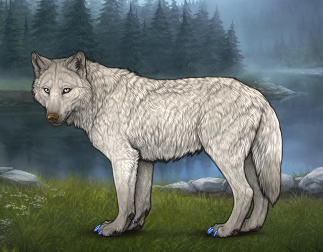 Random Wolf Image
