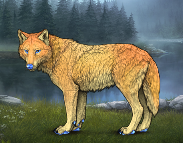 Random Wolf Image