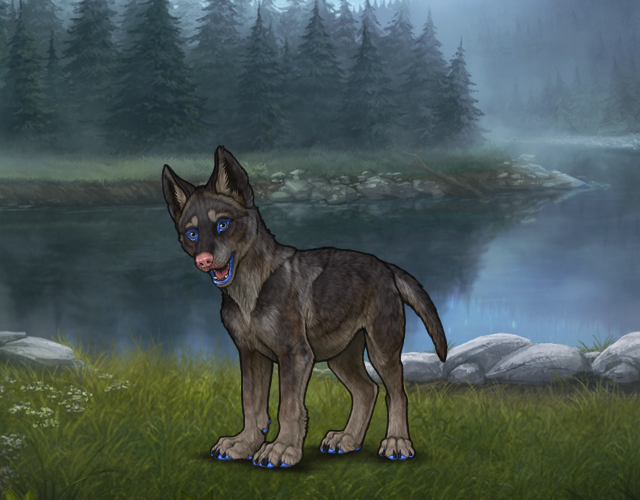 Random Wolf Image