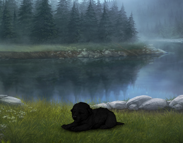 Random Wolf Image