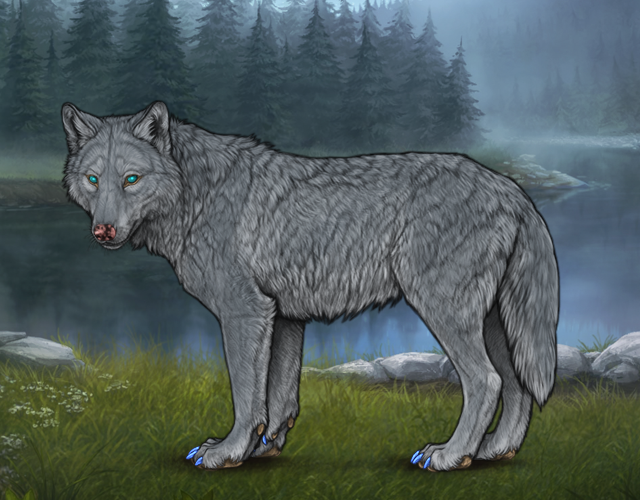 Random Wolf Image