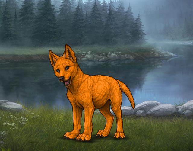 Random Wolf Image