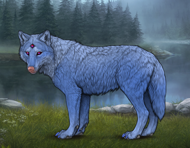 Random Wolf Image