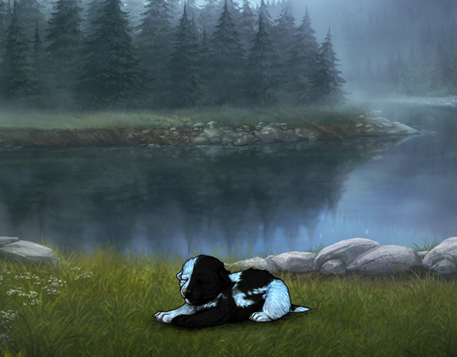 Random Wolf Image