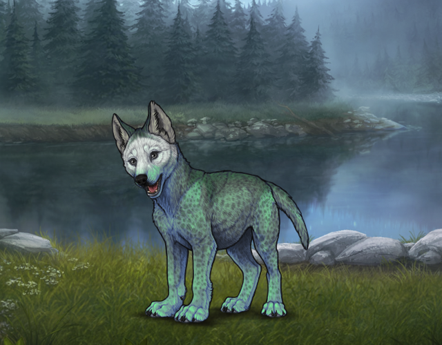 Random Wolf Image