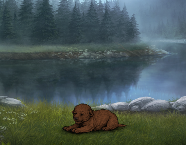 Random Wolf Image