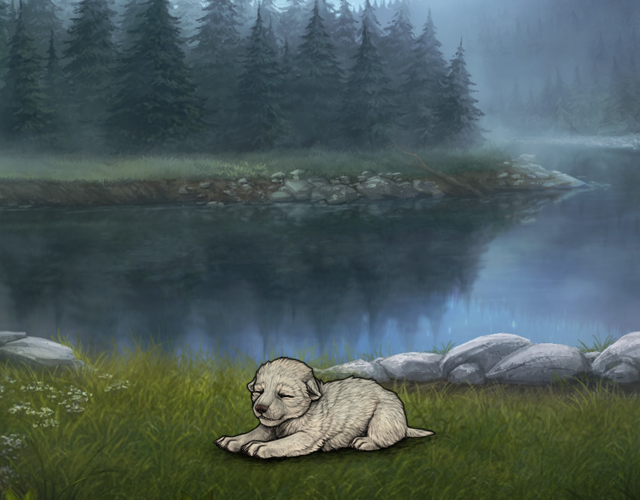 Random Wolf Image