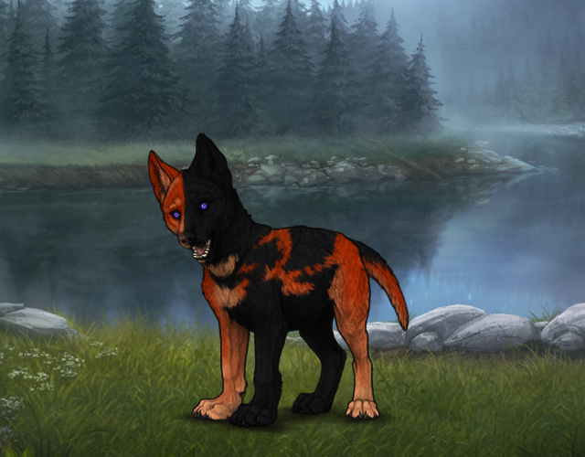 Random Wolf Image