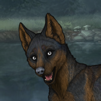 New Runt Puppy Headshot