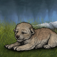 New Puppy Headshot