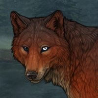Wolf Headshot