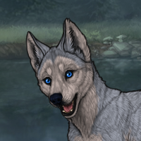 New Runt Puppy 1 Headshot