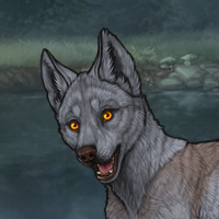 New Puppy 6 Headshot