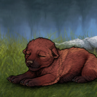 New Runt Puppy Headshot