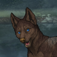 New Puppy Headshot
