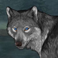 Wolf Headshot