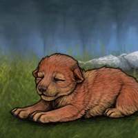 New Largest Puppy Headshot