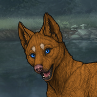 New Puppy Headshot