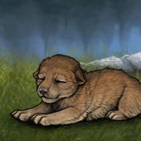 New Puppy Headshot