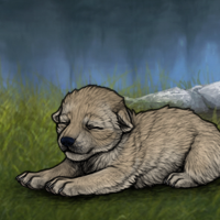 New Puppy Headshot