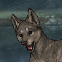 New Puppy Headshot