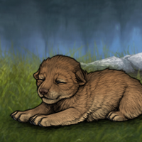 New Runt Puppy Headshot