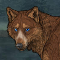 Wolf Headshot