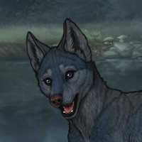 New Puppy Headshot