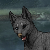 New Puppy Headshot