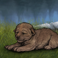 New Runt Puppy Headshot