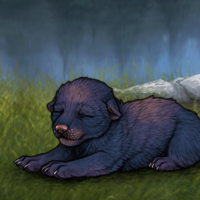 New Puppy Headshot