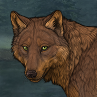 Wolf Headshot