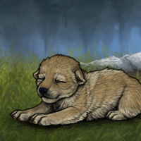 New Largest Puppy Headshot