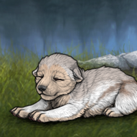 Check White M Headshot