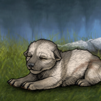 Check Melchior M Headshot