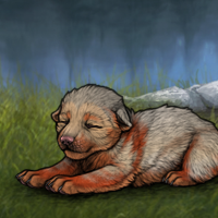 Check Antler F Headshot